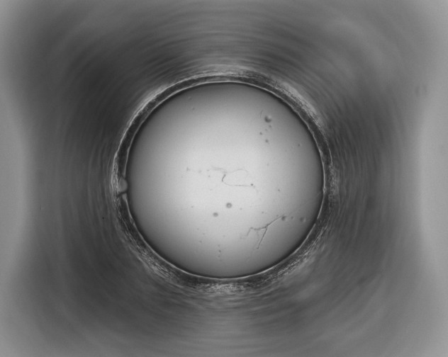 X0000116380883200912091412