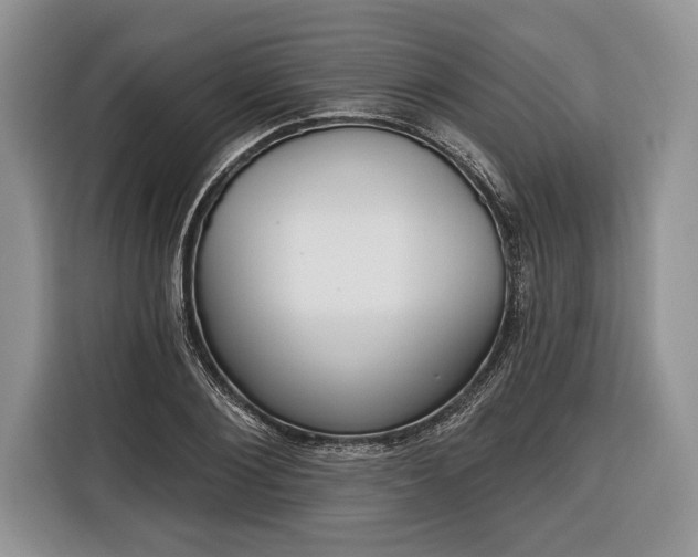 X0000116380884200912091412