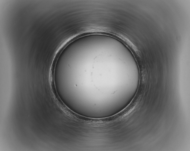 X0000116380885200912091412
