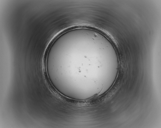 X0000116380887200912091412