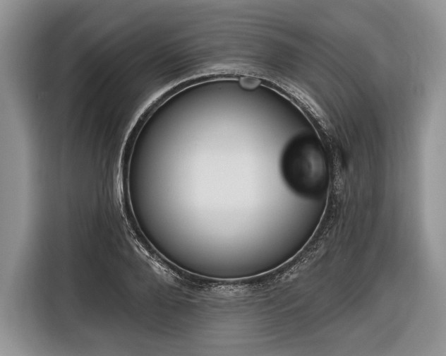 X0000116380888200912091412