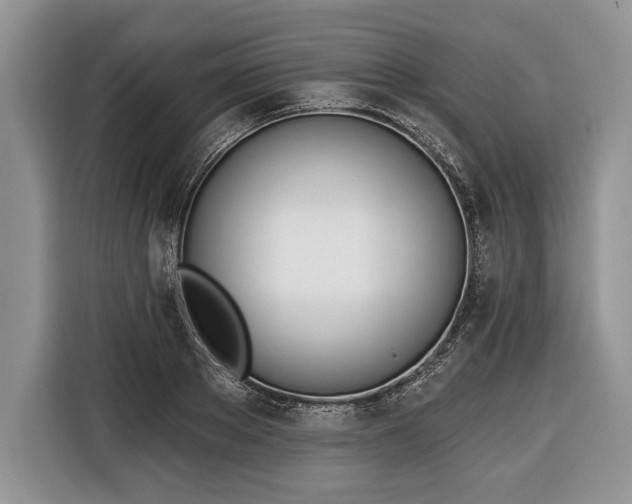 X0000116380889200912091412