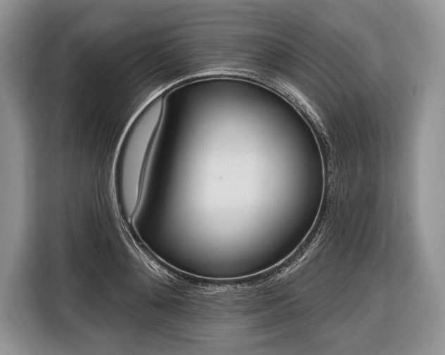 X0000116380892200912091412