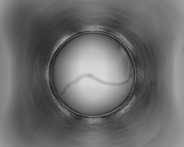 X0000116380893200912091412