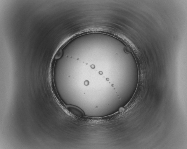 X0000116380894200912091412