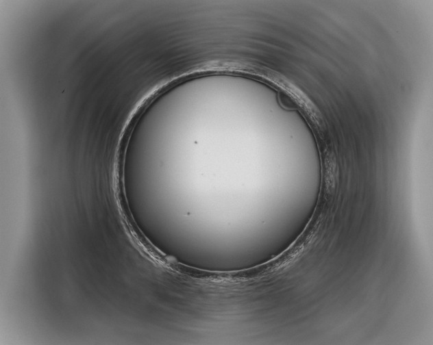 X0000116380896200912091412