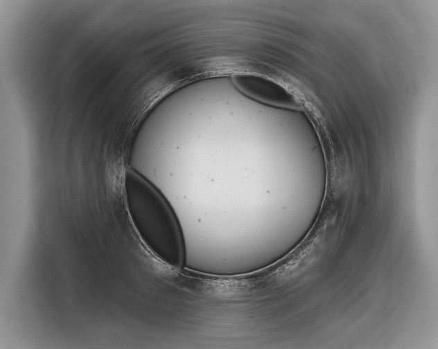X0000116380897200912091412
