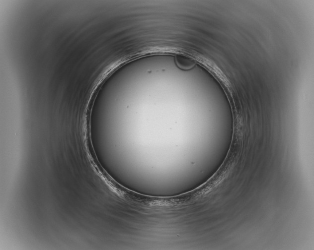 X0000116380898200912091412