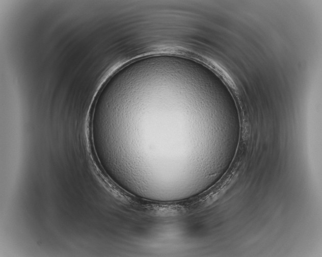 X0000116380899200912091412