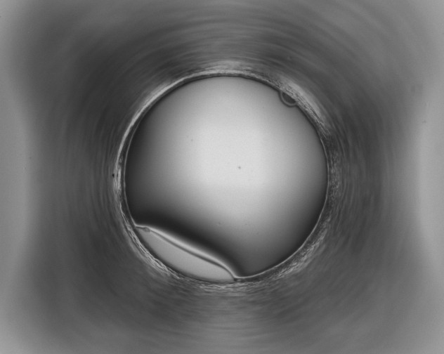 X0000116380900200912091412