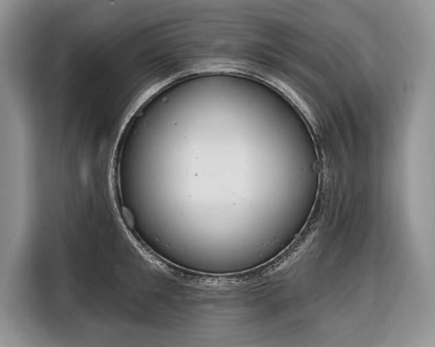 X0000116380901200912091412