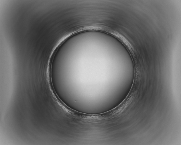 X0000116380902200912091412