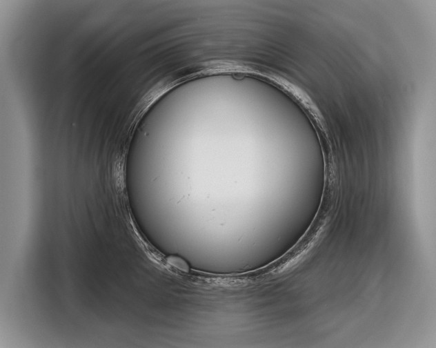 X0000116380905200912091412