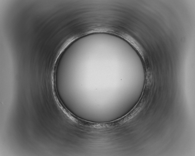 X0000116380906200912091412