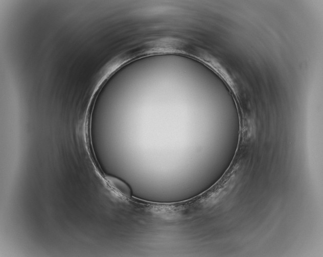 X0000116380909200912091412