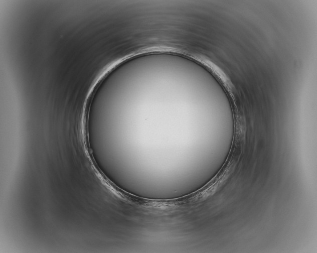 X0000116380910200912091412