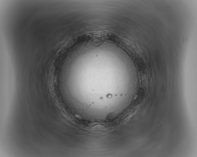 X0000116380913200912091411