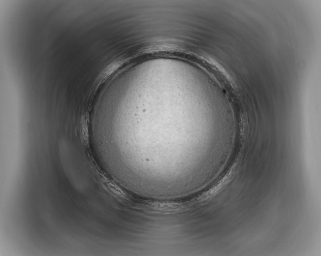 X0000116380921200912091411