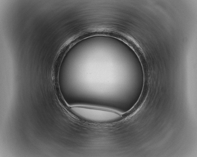 X0000116380922200912091411