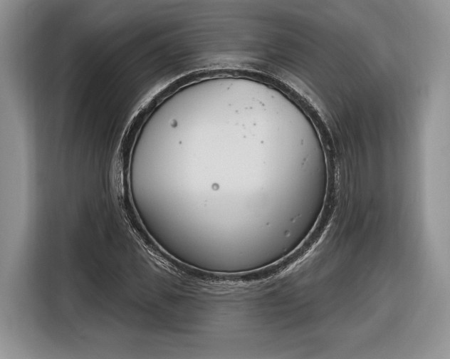 X0000116380925200912091411