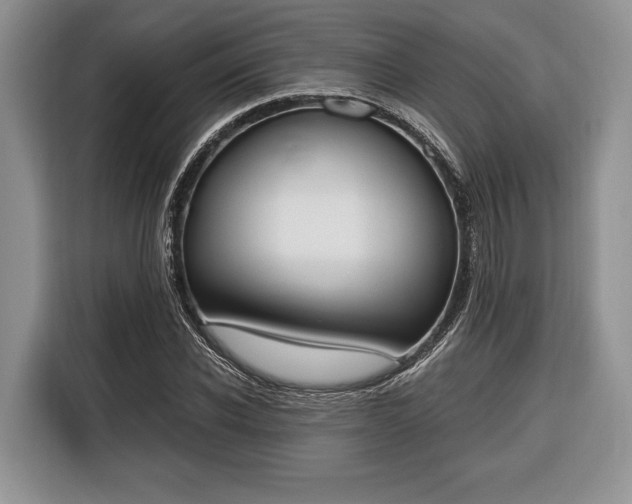 X0000116380926200912091411