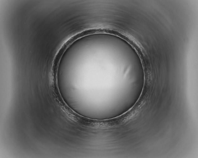 X0000116380927200912091411