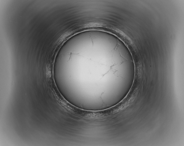 X0000116380929200912091411