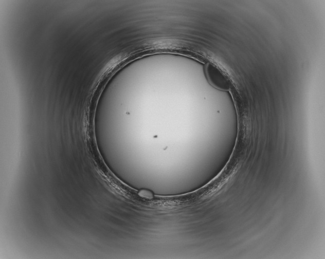 X0000116380930200912091411