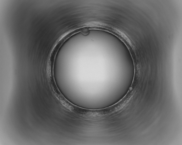 X0000116380931200912091411