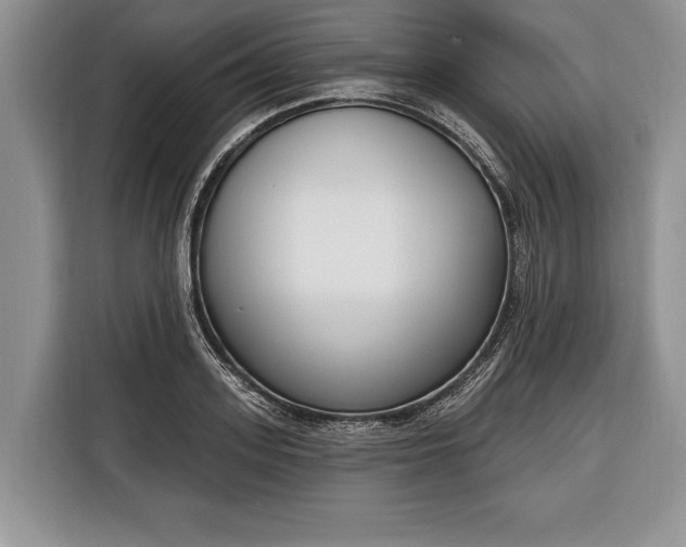 X0000116380939200912091412