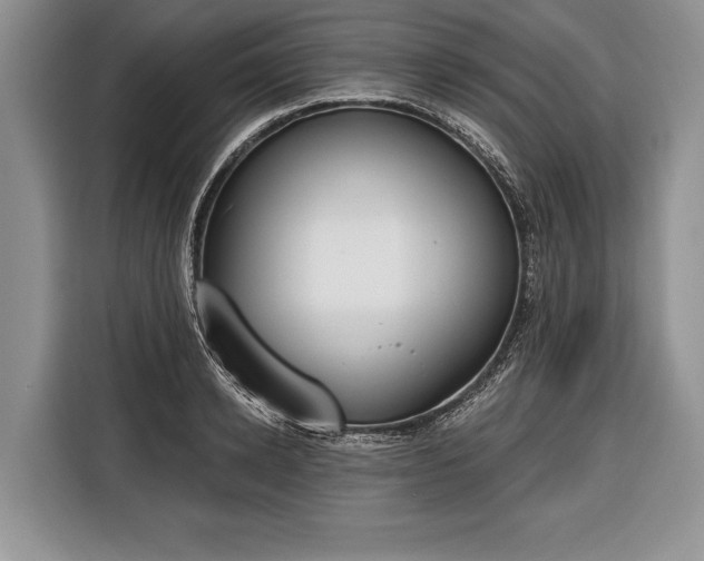 X0000116380942200912091412