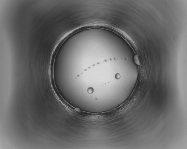 X0000116380943200912091412