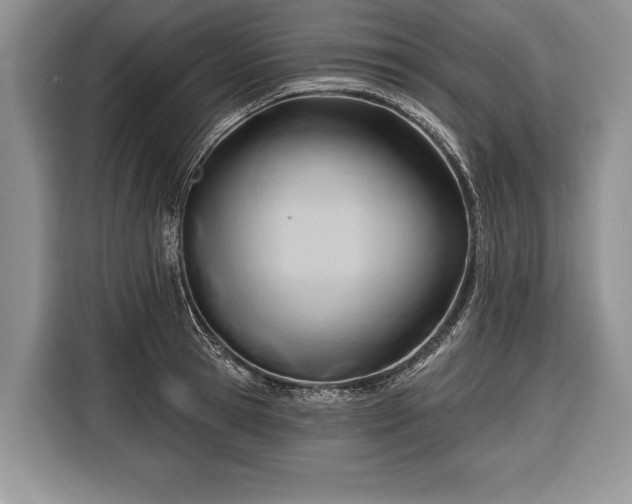 X0000116380945200912091412