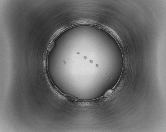 X0000116380946200912091412