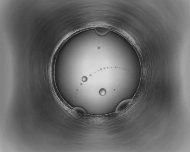 X0000116380947200912091412