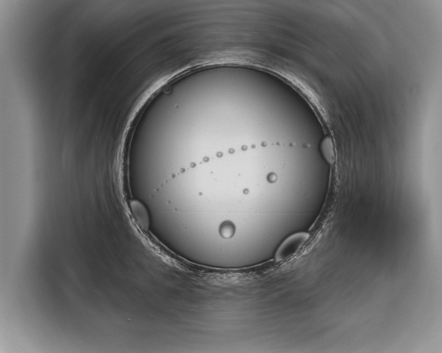 X0000116380949200912091412