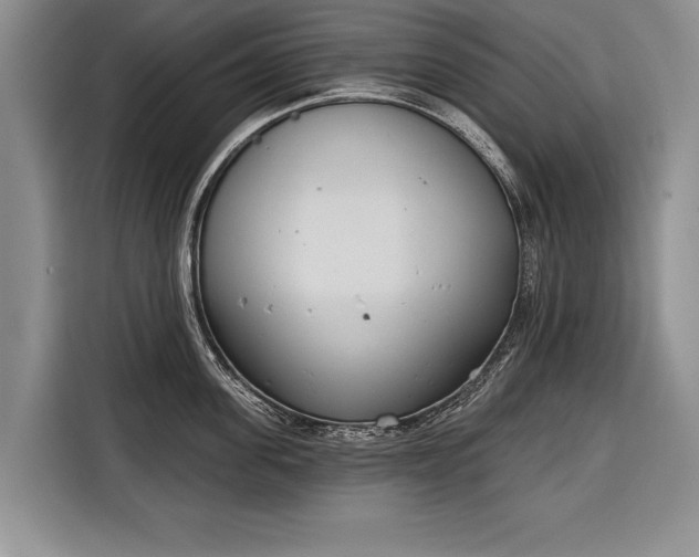 X0000116380955200912091412