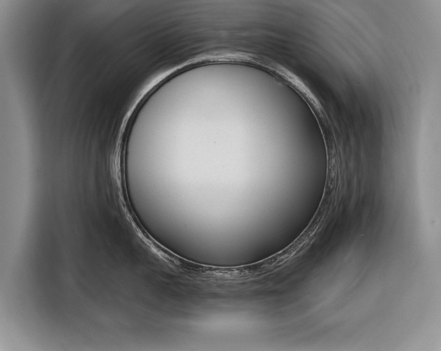 X0000116380959200912091412