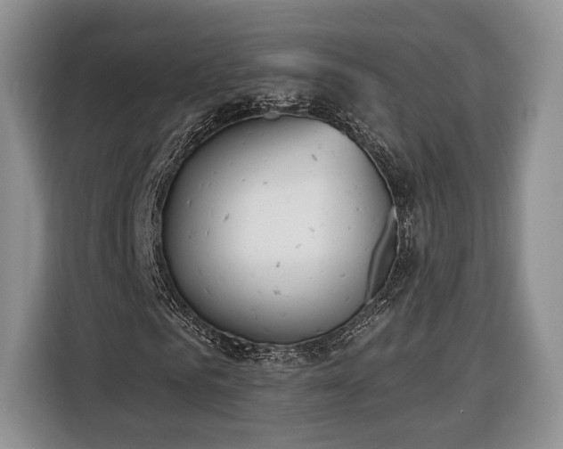 X0000116380961200912091411