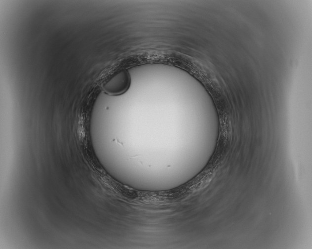 X0000116380962200912091411