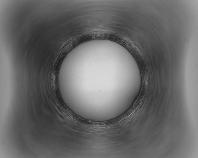 X0000116380964200912091411