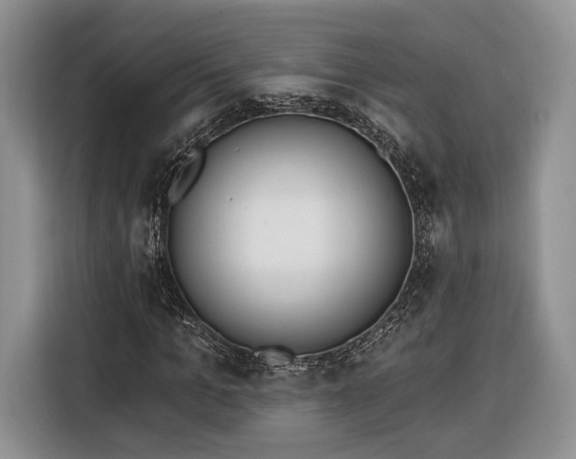 X0000116380965200912091411