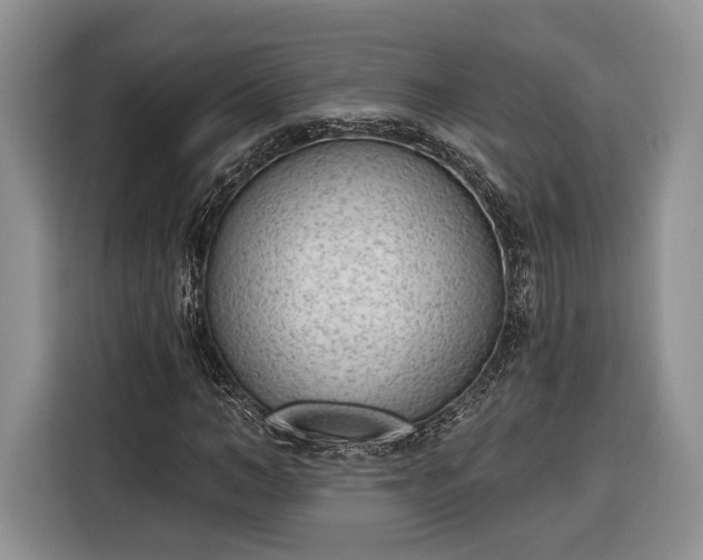 X0000116380966200912091411