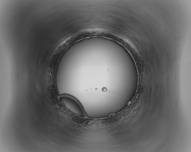 X0000116380967200912091411