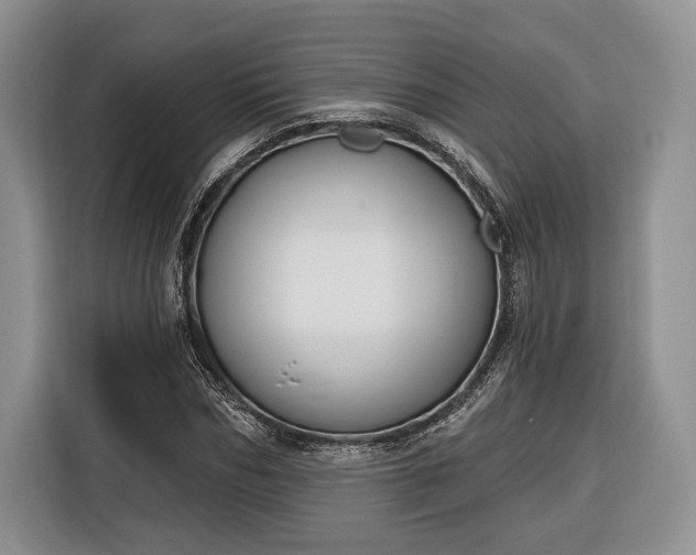 X0000116380970200912091411