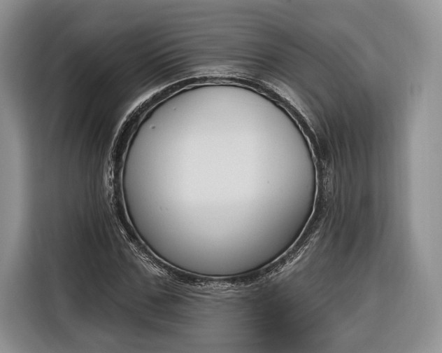 X0000116380971200912091411