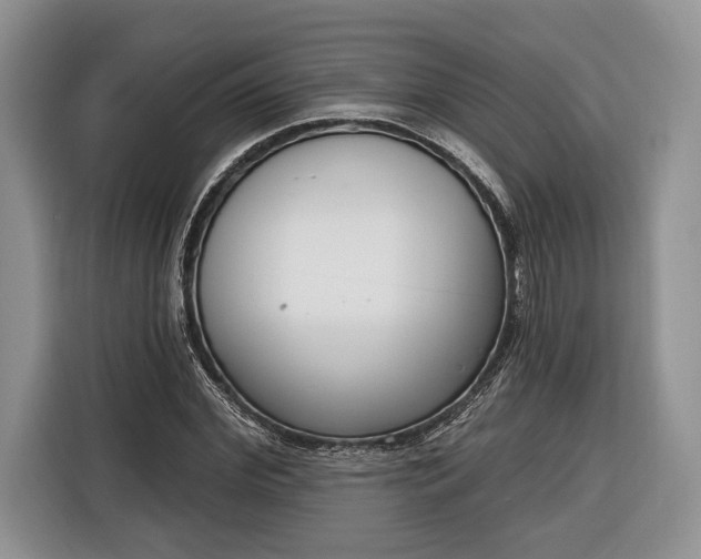 X0000116380972200912091411