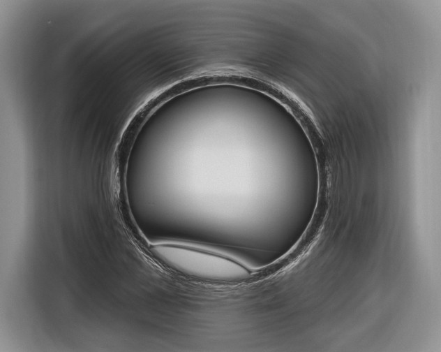 X0000116380973200912091411