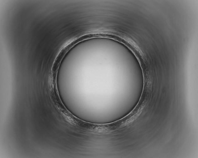 X0000116380974200912091411