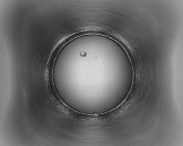 X0000116380975200912091411